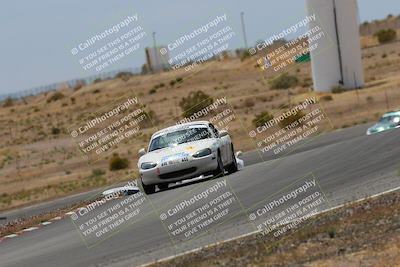 media/May-03-2025-Lucky Dog Racing (Sat) [[206de64b9d]]/Turn 6 (150pm-230pm)/